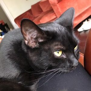 Meet your Posher, Brittany